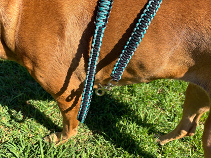 Double layer dog leash