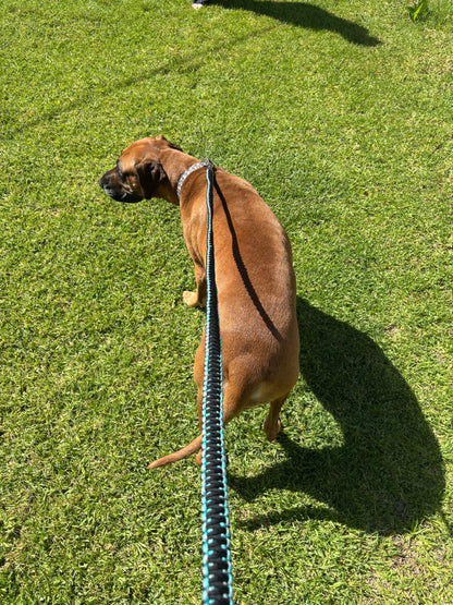Double layer dog leash